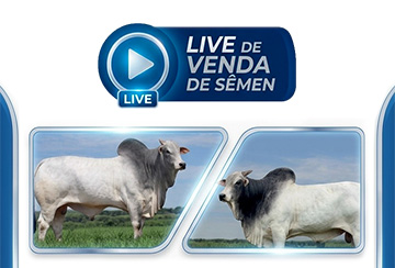 LIVE VENDA DE SÊMEN - VITRINE E SHOPPING ADIR